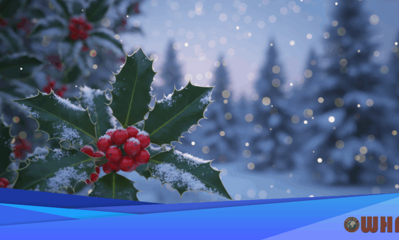 Celestial Movements Influence December 2025